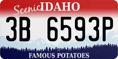 ID license plate 3B6593P