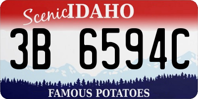 ID license plate 3B6594C