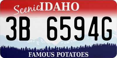 ID license plate 3B6594G