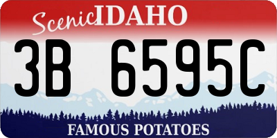 ID license plate 3B6595C
