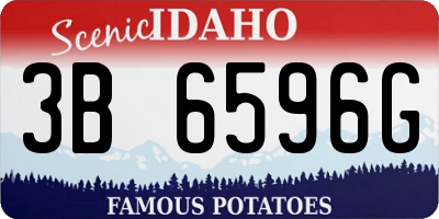 ID license plate 3B6596G