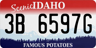 ID license plate 3B6597G