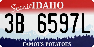 ID license plate 3B6597L