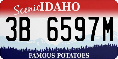 ID license plate 3B6597M