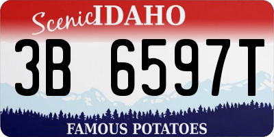 ID license plate 3B6597T
