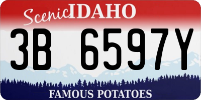 ID license plate 3B6597Y