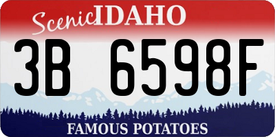 ID license plate 3B6598F