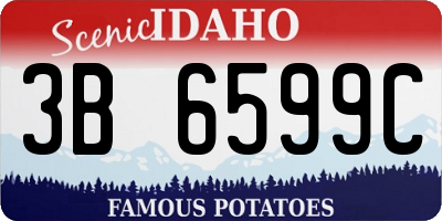 ID license plate 3B6599C