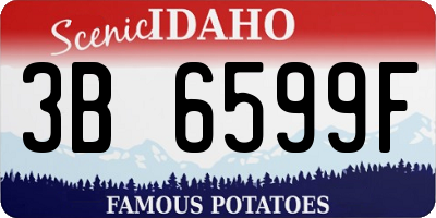 ID license plate 3B6599F