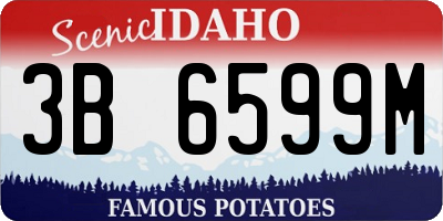 ID license plate 3B6599M