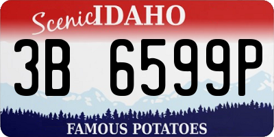 ID license plate 3B6599P
