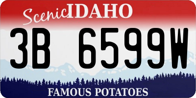 ID license plate 3B6599W