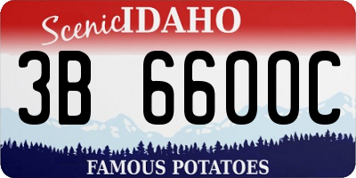 ID license plate 3B6600C
