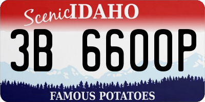 ID license plate 3B6600P
