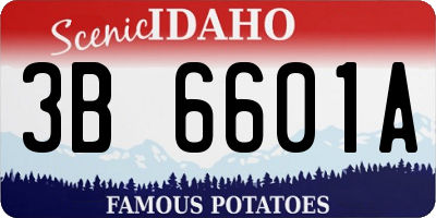 ID license plate 3B6601A