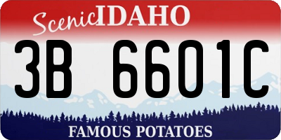 ID license plate 3B6601C