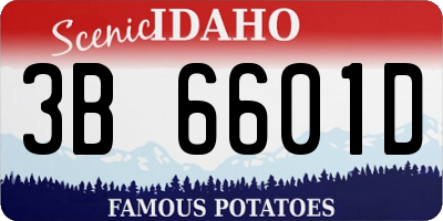 ID license plate 3B6601D