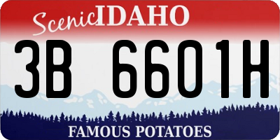 ID license plate 3B6601H