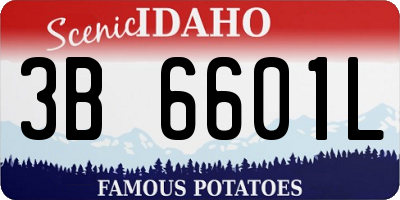 ID license plate 3B6601L