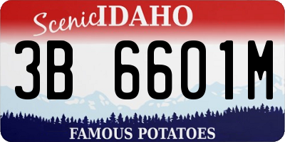ID license plate 3B6601M