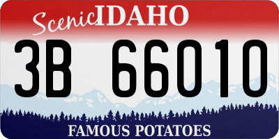 ID license plate 3B6601O