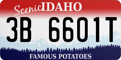 ID license plate 3B6601T
