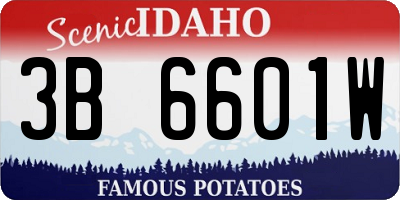 ID license plate 3B6601W