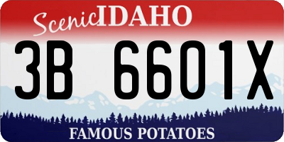 ID license plate 3B6601X