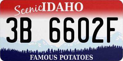 ID license plate 3B6602F