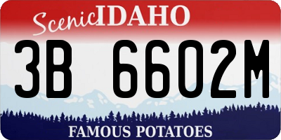 ID license plate 3B6602M