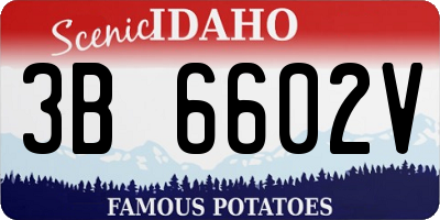 ID license plate 3B6602V