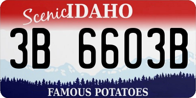 ID license plate 3B6603B