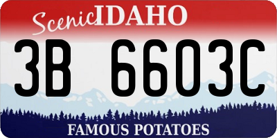 ID license plate 3B6603C