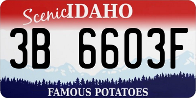 ID license plate 3B6603F