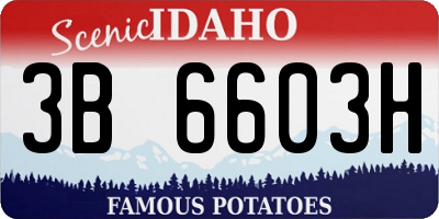 ID license plate 3B6603H