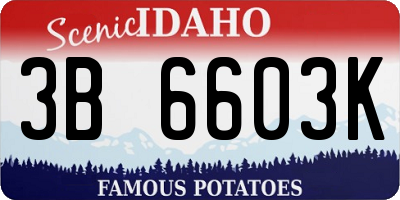ID license plate 3B6603K