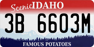 ID license plate 3B6603M