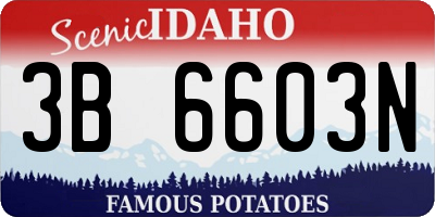 ID license plate 3B6603N