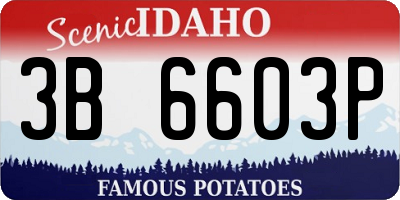ID license plate 3B6603P
