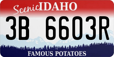 ID license plate 3B6603R