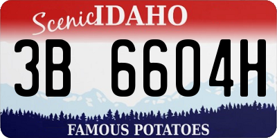 ID license plate 3B6604H