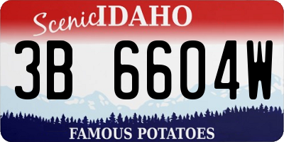 ID license plate 3B6604W