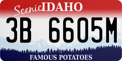 ID license plate 3B6605M
