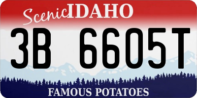ID license plate 3B6605T