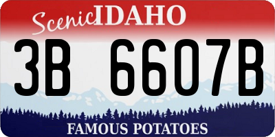 ID license plate 3B6607B