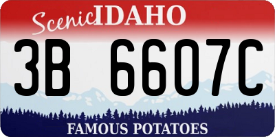 ID license plate 3B6607C