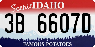 ID license plate 3B6607D