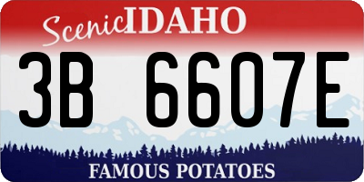 ID license plate 3B6607E