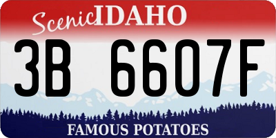 ID license plate 3B6607F