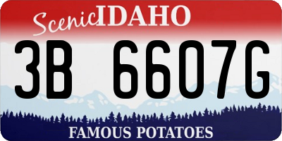 ID license plate 3B6607G